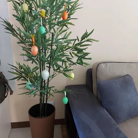 Διαμέρισμα Terra Complex -d6 - Balkan Private Apartment-spa Sking Golf And Relax Μπάνσκο