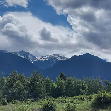 Apartament Terra Complex -d6 - Balkan Private Apartment-spa Sking Golf And Relax