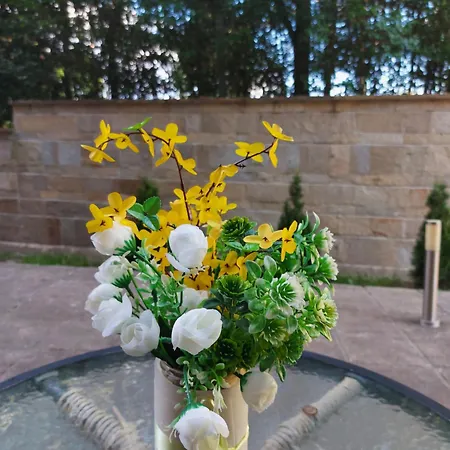 Terra Complex -d6 - Balkan Private Apartment-spa Sking Golf And Relax * Razłog