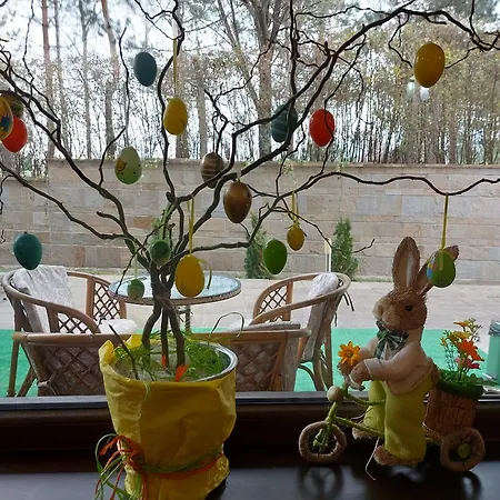 Terra Complex -d6 - Balkan Private Apartment-spa Sking Golf And Relax Апартаменти