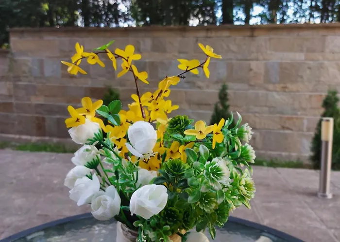 Terra Complex -d6 - Balkan Private Apartment-spa Sking Golf And Relax * Razlog